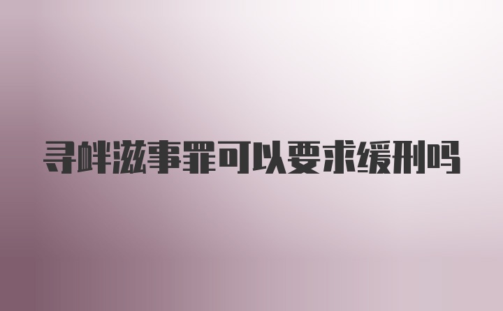 寻衅滋事罪可以要求缓刑吗