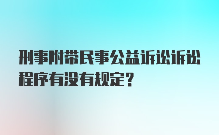 刑事附带民事公益诉讼诉讼程序有没有规定？