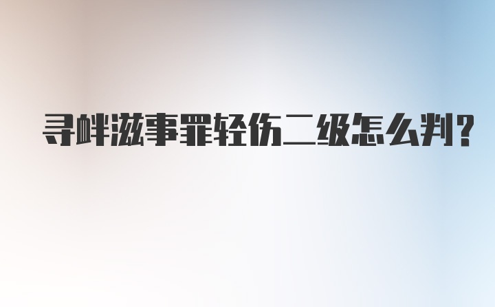 寻衅滋事罪轻伤二级怎么判?