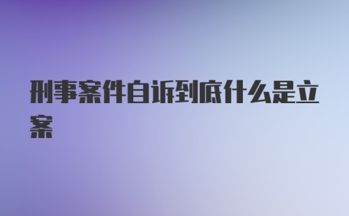 刑事案件自诉到底什么是立案