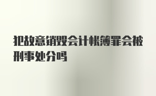 犯故意销毁会计帐簿罪会被刑事处分吗