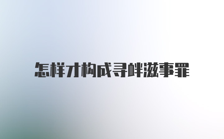 怎样才构成寻衅滋事罪