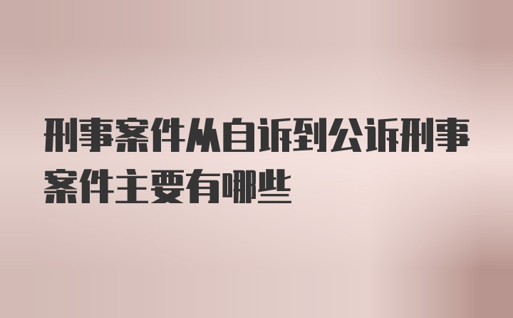 刑事案件从自诉到公诉刑事案件主要有哪些