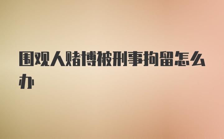 围观人赌博被刑事拘留怎么办