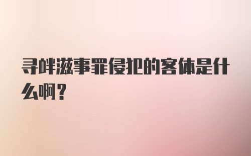 寻衅滋事罪侵犯的客体是什么啊？