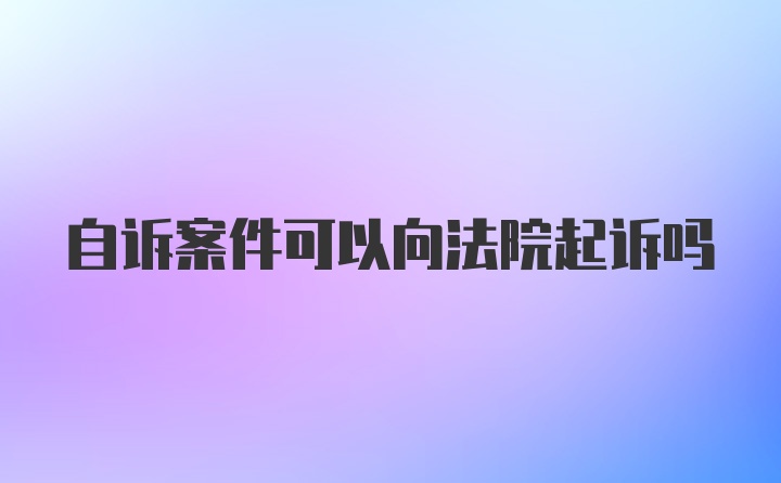 自诉案件可以向法院起诉吗