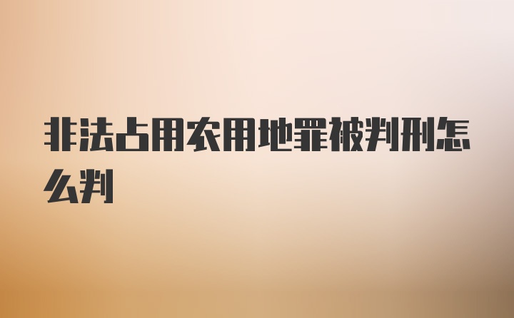 非法占用农用地罪被判刑怎么判