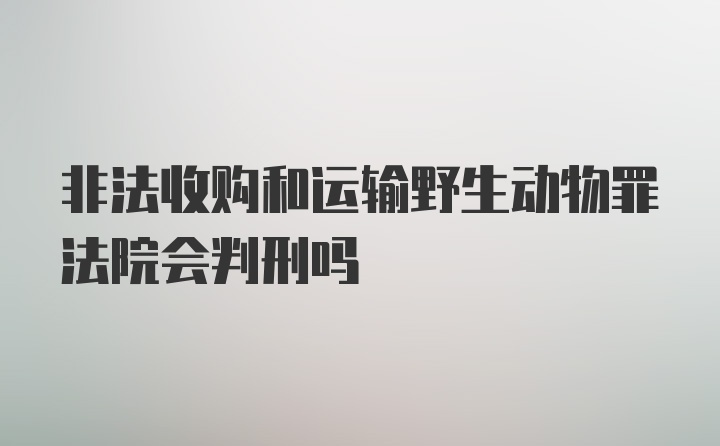 非法收购和运输野生动物罪法院会判刑吗