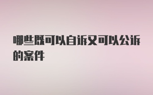 哪些既可以自诉又可以公诉的案件