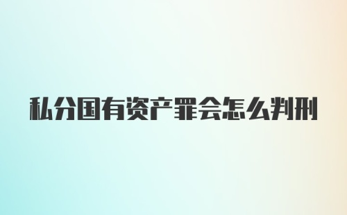 私分国有资产罪会怎么判刑