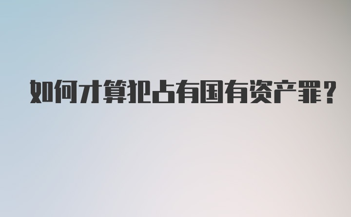 如何才算犯占有国有资产罪？