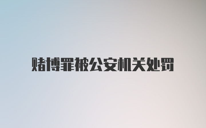 赌博罪被公安机关处罚