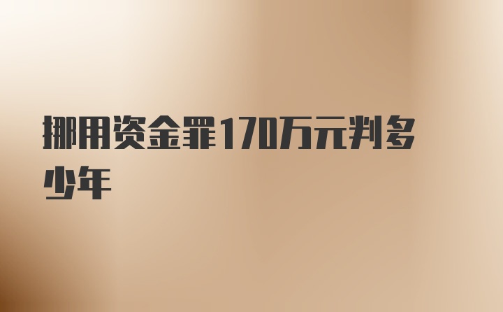 挪用资金罪170万元判多少年