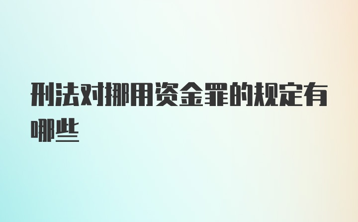 刑法对挪用资金罪的规定有哪些