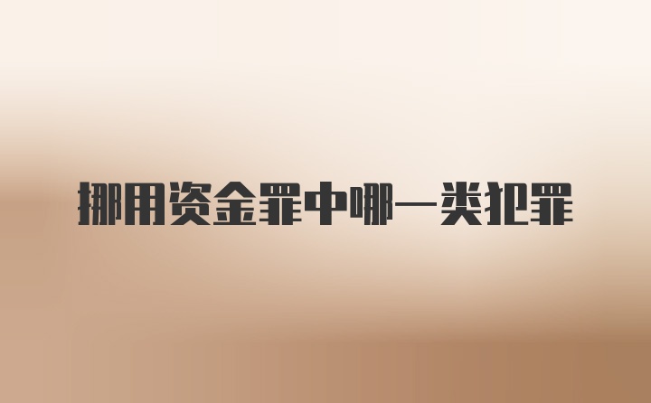 挪用资金罪中哪一类犯罪