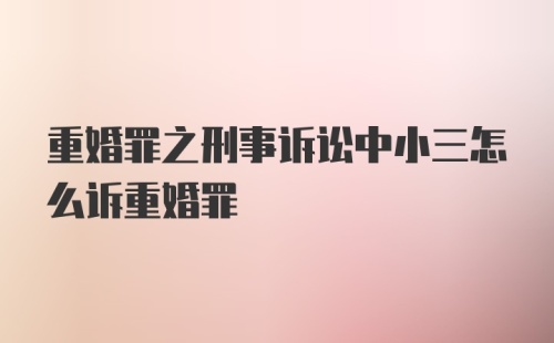 重婚罪之刑事诉讼中小三怎么诉重婚罪