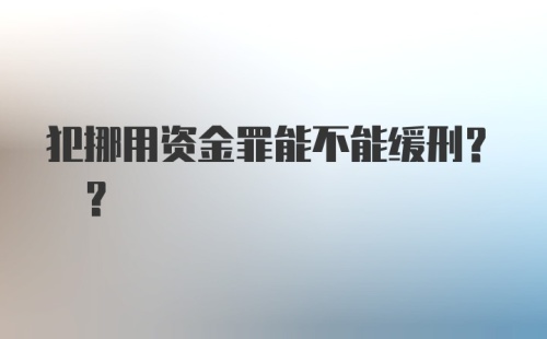 犯挪用资金罪能不能缓刑? ?