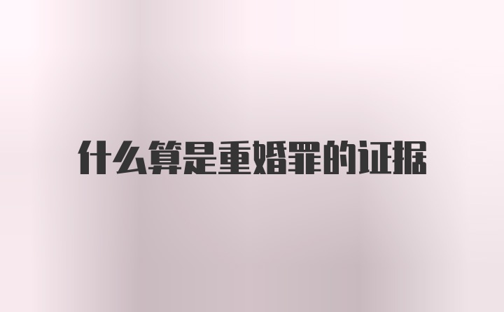 什么算是重婚罪的证据