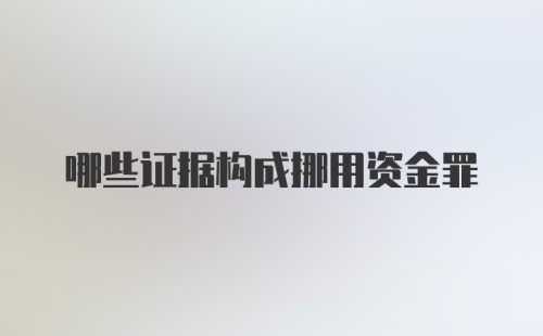 哪些证据构成挪用资金罪