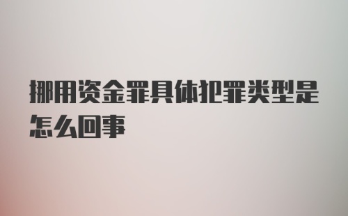 挪用资金罪具体犯罪类型是怎么回事