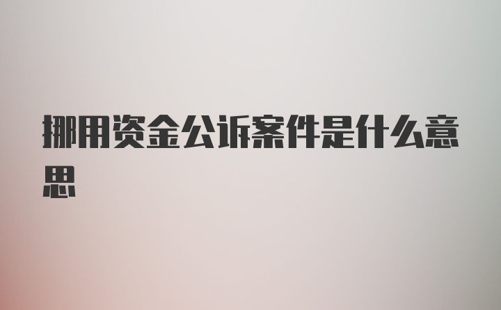 挪用资金公诉案件是什么意思