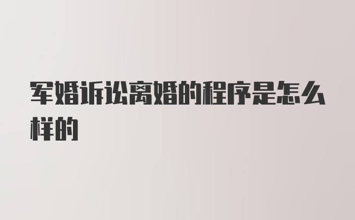 军婚诉讼离婚的程序是怎么样的