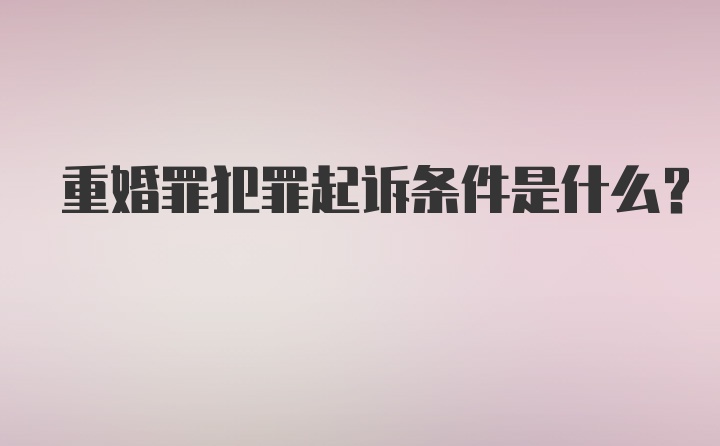 重婚罪犯罪起诉条件是什么?