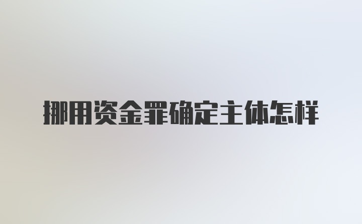 挪用资金罪确定主体怎样