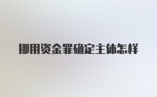 挪用资金罪确定主体怎样