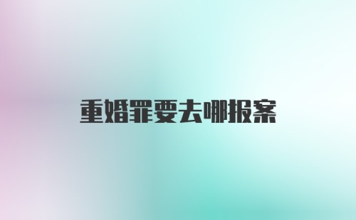 重婚罪要去哪报案