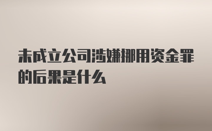 未成立公司涉嫌挪用资金罪的后果是什么