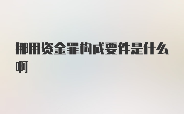 挪用资金罪构成要件是什么啊