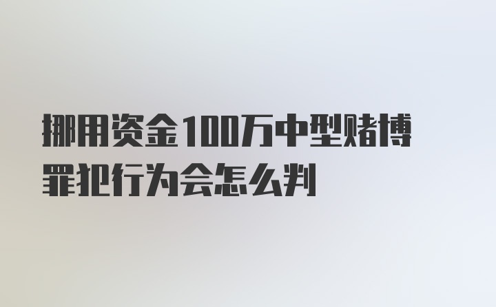 挪用资金100万中型赌博罪犯行为会怎么判