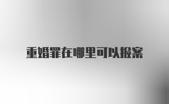 重婚罪在哪里可以报案