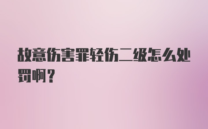 故意伤害罪轻伤二级怎么处罚啊？