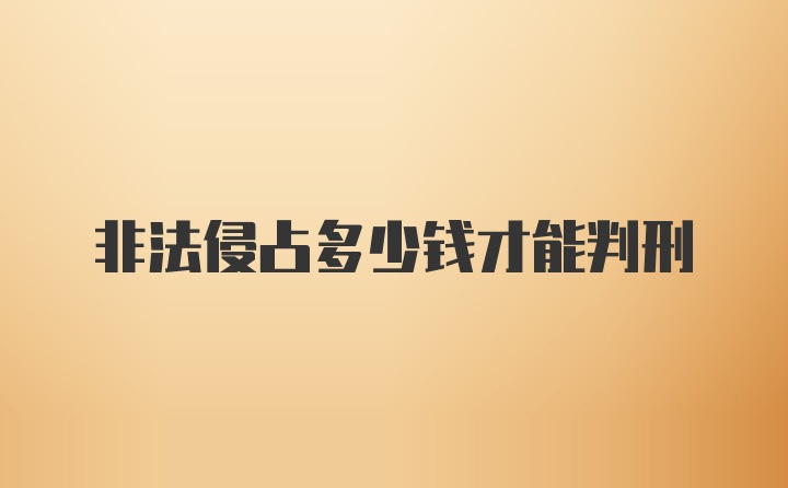 非法侵占多少钱才能判刑