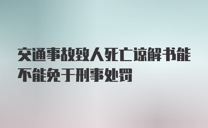 交通事故致人死亡谅解书能不能免于刑事处罚