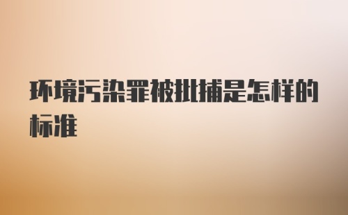 环境污染罪被批捕是怎样的标准