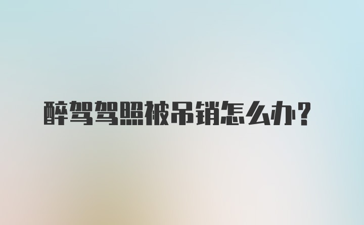 醉驾驾照被吊销怎么办？