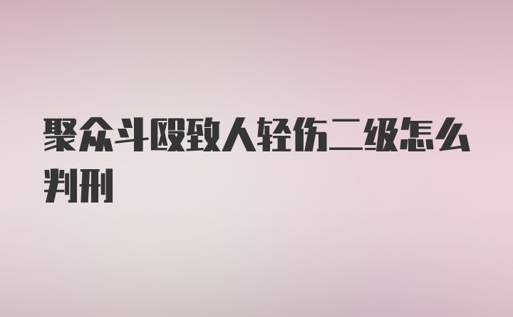 聚众斗殴致人轻伤二级怎么判刑