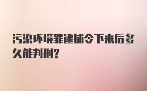 污染环境罪逮捕令下来后多久能判刑?