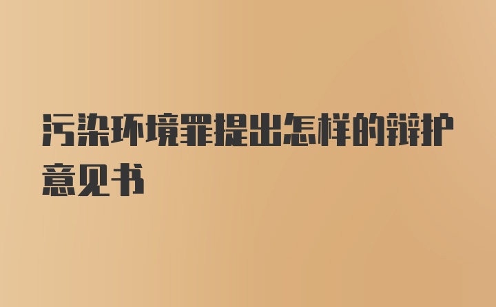 污染环境罪提出怎样的辩护意见书