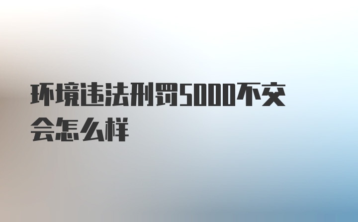 环境违法刑罚5000不交会怎么样