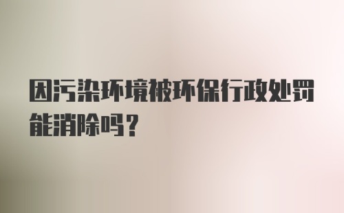 因污染环境被环保行政处罚能消除吗?