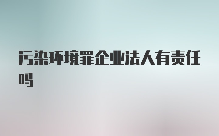 污染环境罪企业法人有责任吗