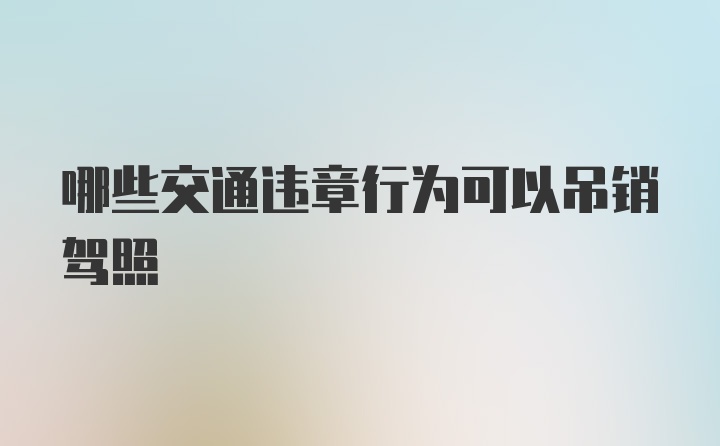 哪些交通违章行为可以吊销驾照