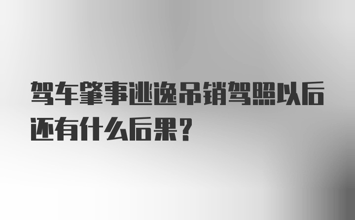 驾车肇事逃逸吊销驾照以后还有什么后果？