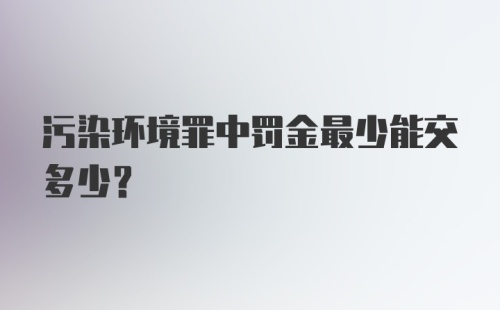 污染环境罪中罚金最少能交多少？