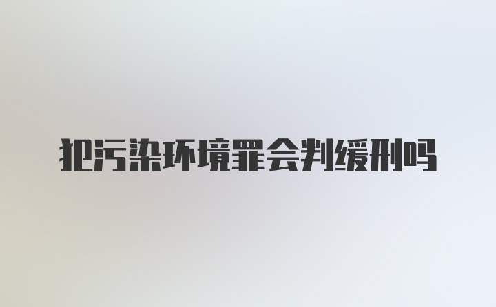 犯污染环境罪会判缓刑吗