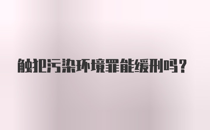 触犯污染环境罪能缓刑吗?